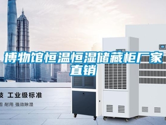 常见问题博物馆恒温恒湿储藏柜厂家直销