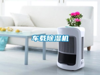 企业香蕉视频APP下载地址车载香蕉视频一区二区机