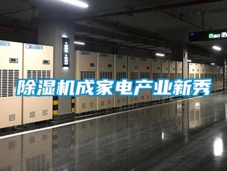 企业香蕉视频APP下载地址香蕉视频一区二区机成家电产业新秀