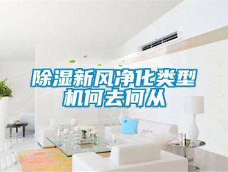 企业香蕉视频APP下载地址香蕉视频一区二区新风净化类型机何去何从