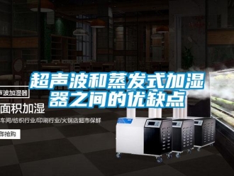 企业香蕉视频APP下载地址超声波和蒸发式加湿器之间的优缺点