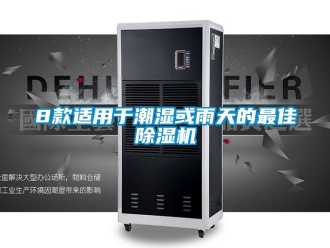 企业香蕉视频APP下载地址8款适用于潮湿或雨天的最佳香蕉视频一区二区机